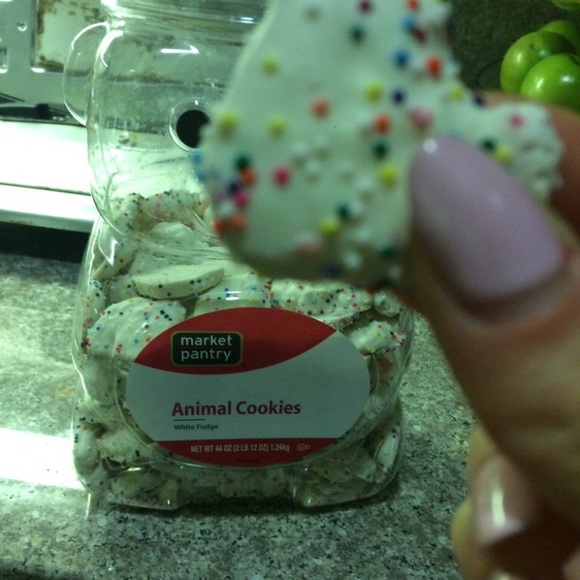 Meet your Posher, Bella - Picture 1 of 1